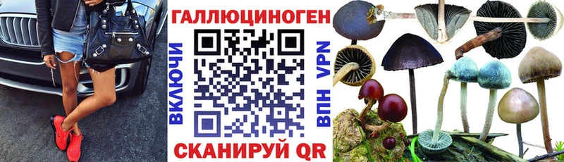мега маркетплейс  купить   Лабинск  Псилоцибиновые грибы мухоморы 