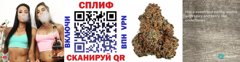 где можно купить Лабинск гидра ССЫЛКА Каннабис сатива